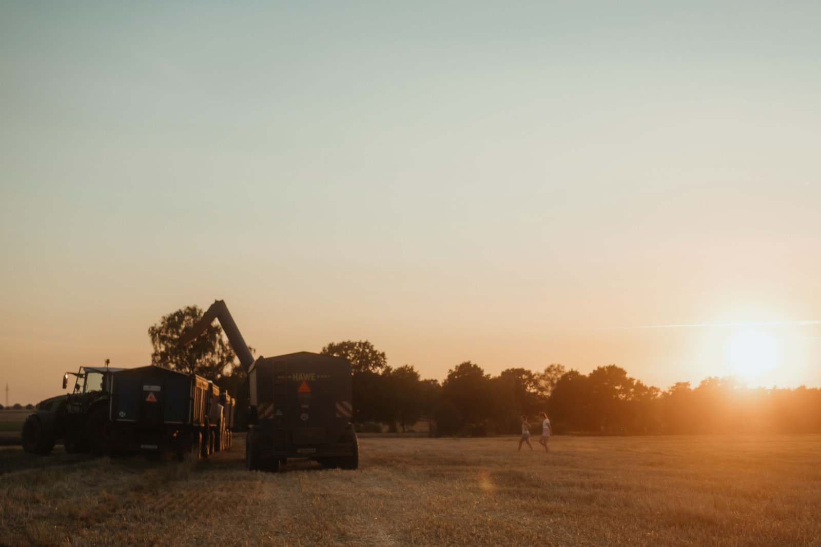 fields of gold